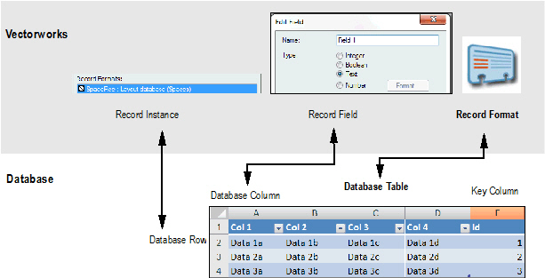 Database00002.jpg