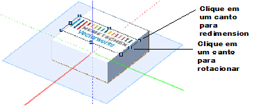 Decal_scale.png