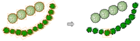 Plants00044.jpg
